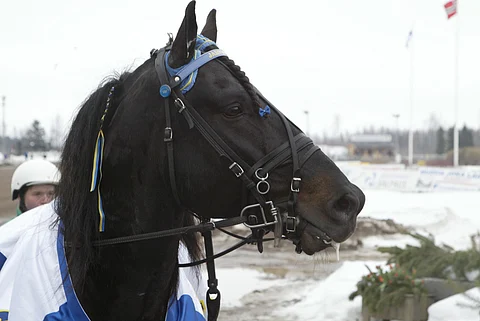 Järvsöfaks. Kuva: Jarno Unkuri