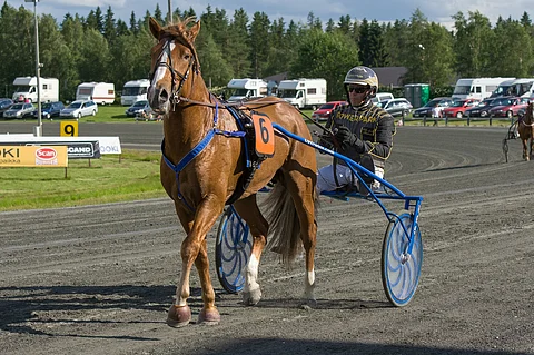 Lumi-Hessun ura päättyi vuoteen 2018. Voittosummaksi jäi 75 620 euroa ja ennätykseksi 22,0.