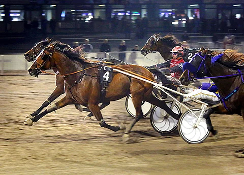 Viimeksi Combatant Motion (kärkikaksikosta ulompana) kilpaili Vermossa syyskuun viimeinen päivä. Silloin se jakoi voiton Taigo Blessedin kanssa.