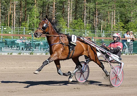 Big Sky Hurricane kilpaili juhannuksena Härmässä piilevästi kipeänä eikä palannut enää sen jälkeen tasolleen. Ura on nyt ohi.