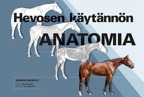 Kirja-arvio: Hevosen käytännön anatomia -teos on aktiivista käyttöä varten