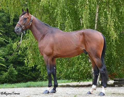 Friendly Bourbonin maksuja ei ole vielä päätetty, mutta Hannu Nivola lupaa niistä edullisia.