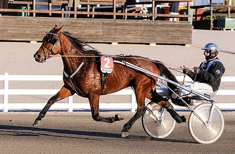 Ranch The Rock kilpaili aikaisemmin Christa Packalénin ja Niki Finnströmin (kuvassa) treenistä.