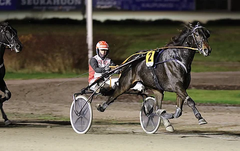 Skyfall Shine pakeni raastavasta matkavauhdista huolimatta selvään voittoon.