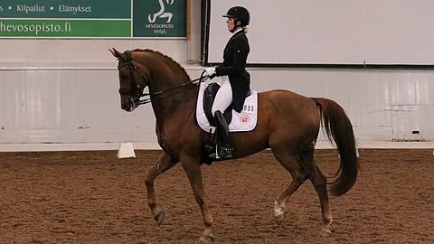 Denzelillä ja Anna von Wendtillä on luonnollisesti paikka myös HIHS:ssä SM-menestyksen myötä.