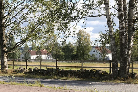 Hevosopistolla Ypäjällä tapahtui 24. toukokuuta hevosen hengen vaatinut vahinko.