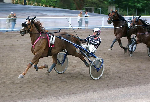 Chique näytti vastustajille takakavioitaan vuosi sitten kesällä Vermossa, mutta sen jälkeen menestys on ollut vaisumpaa.