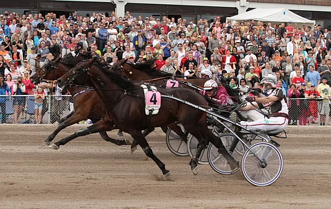 Vuonna 2013 Day Cruise ja Antti Teivainen vyöryivät keskeltä rataa Suur-Hollola-ajon voittoon kilpailuennätyksellä 12,2a ennen Aaron de Veluwea, Edward Alea ja Maxwell Maydayta.