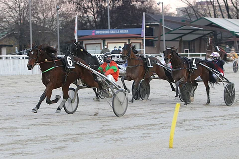 Billie de Montfort voittaa varmasti Gran Premio delle Nazionin. Chief Orlando kirii ulkoa kakkoseksi. Kuva: Gerard Forni