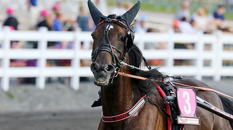 Joseph Boko juoksi viime kaudella kaksi voittoa.