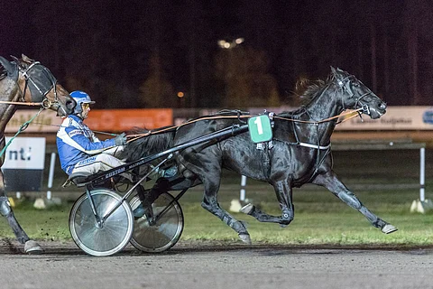 Marika Jurvasen Master As on kilpaillut vasta neljä kautta ja juossut alle 60 starttia. Hevonen on nyt, 12-vuotiaana, elämänsä kunnossa.