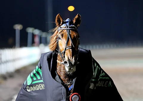 Pyörylän Paronin menestysputki sai jatkoa lauantaina. Kuva: Anu Leppänen.