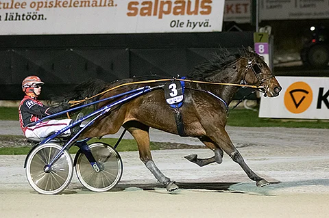 Stay On Topilla on nyt kaksi peräkkäistä voittoa. Tässä tyylinäyte Jokimaalta. Arkistokuva: Iita-Maria Ahtiainen.