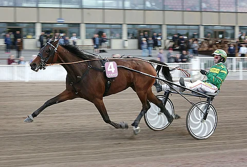 Päätöskohteessa starttaava Bansky on kokeilemisen arvoinen ideavarma finaalikierroksella.