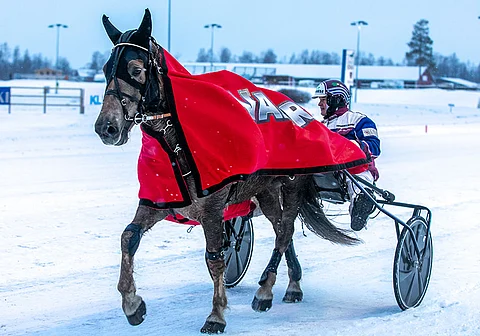 Jouko Tarvaisen Disain on liian vähän pelattu.