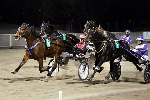 Santtu Raitalan naruttelema Mainio oli menopäällä Vermossa.