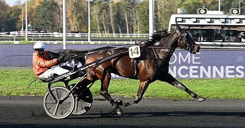 Martin de Bos osaa voittaa Vincennesissä. Kuva: Gerard Forni