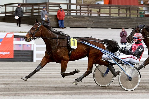 Perchpond on takarivistäkin rivin tukipilari.