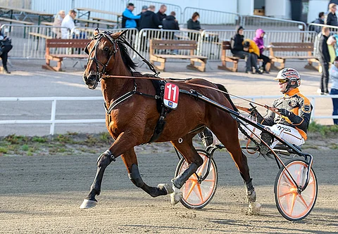 Antti Veteläisen Quartam de Victor pystyy voittoon.