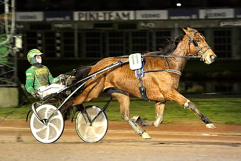 Jukka Torvinen on Anne Kankaan luottokuski. Credit To Loven kyydissä hän sai kääntää piiskansa hyvissä ajoin taaksepäin.