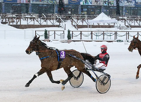 Again Kronos sai vihdoinkin palkinnon hienoista esityksistään.