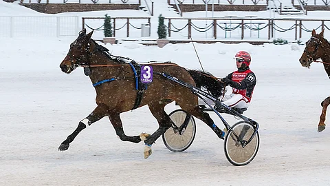 Again Kronos menestyi Matti Mäkisen tallista Suomessa hyvin kengät jalassa, mutta Ruotsissa se on juossut Jonna Irriltä toistaiseksi vain ilman etukenkiä. Kenkäpakko aiheuttaa siksi pienen kysymysmerkin.