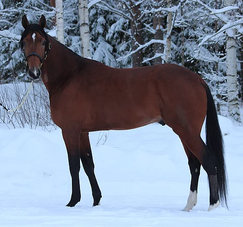 Expectations saapui tiistaina Keuruun lumisiin maisemiin.