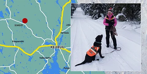 Robi-koira oli avaintekijä hevosen etsinnöissä. Se jäljitti hevosta ensimmäistä kertaa. Kuva: AP/AL