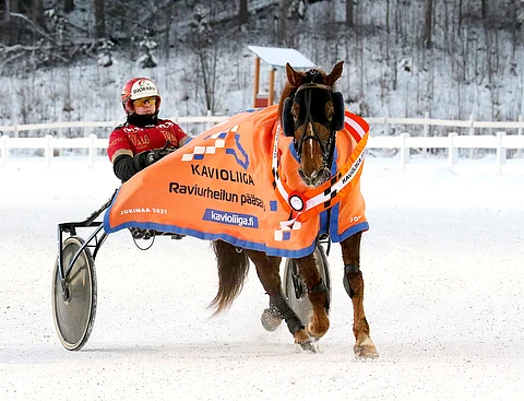 Tapio Perttunen ajoi kotiradallaan Jokimaalla voiton Morisonilla Kavioliigassa. Kuva: Anu Leppänen.