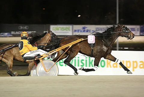 Tommi Kylliäinen ja Capo The Amour ottivat voiton Teivossa ajalla 15,7ake. Kuva Vermon voitosta viime vuoden helmikuulta.