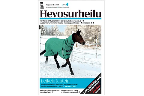 Päivittäinen liikkuminen on tärkeää lihasongelmaisille hevosille, kuten Brisendalle. Kannen kuva: Juha Pelkonen