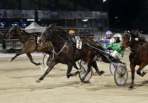 One Point on tulosriviään parempi. Sen tuorein voitto irtosi lähes vuosi sitten loppiaisena Vermossa Ari Moilasen ajamana.