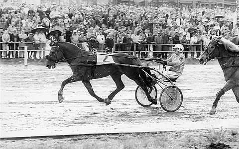 Paavin-Poika johdatti Paavo Lahden Suurmestaruus-voittoon ennen Ollea vuonna 1980. HU arkistokuva.