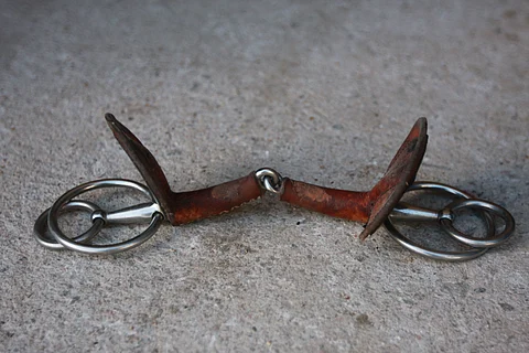 Puoltajankuolaimen käytössä on riskejä.