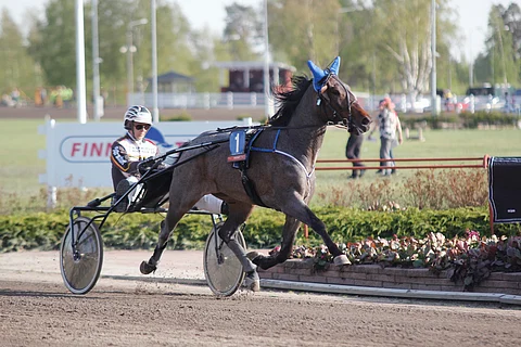 Redhot Tap Dancer on Porin Toto5-kierroksen varmin voittaja.