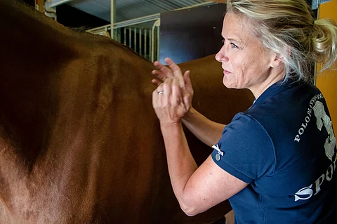 Sanna Ihasalo kaipasi käytännönläheistä kirjaa hevosen anatomiasta ja päätti toimittaa sellaisen itse. Kuva: Anu Leppänen