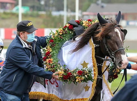 Ville Kalle on yksi kevään siitosoikeuden tavoittelijoista. Kuva: Anu Leppänen