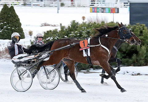 Don Pescadorin yllätysvoitto pohjusti suurvoitot Porin T75-kierroksella.