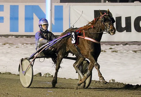 Toissavuoden joulukuussa Toto75-voittajana Olli Koivusen ajamana nähty Gillian Comery veti lähtöään koko matkan perjantaina Turussa Seppo Markkulan ohjastamana. Arkistokuva: Anu Leppänen.