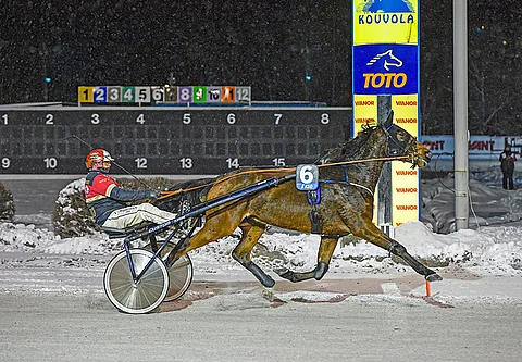 Jacques Hyneman saa tällä kertaa kyytiinsä Esa Holopaisen, mutta rauhallinen mies saattaa onnistua kesyttämään huippukuntoisen ruunan.