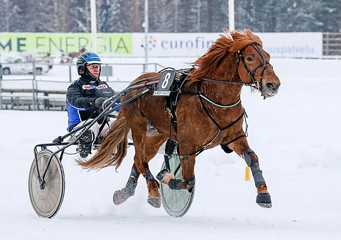 Ryskyn osaomistaja Samuli Innanen toimi tuttuun tapaan oriin ohjastajana viime viikonlopun epäonnisessa kisassa.
