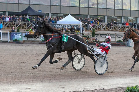 Guilty Pleasuren ura jatkuu Kittilästä käsin Hannu Heikkilän valmennuksessa ja Heikkilän ja Jukka Siivolan omistuksessa.