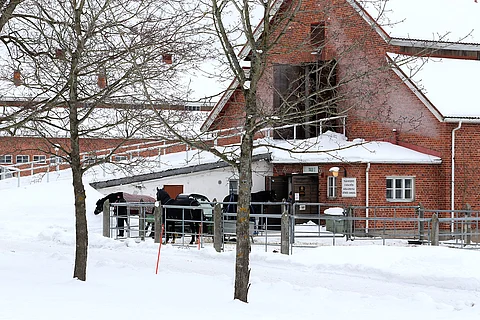 Hevosopistolla on hiljaista.