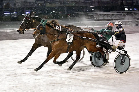 Mickan piti Credit To Dreamin takanaan, mutta tuomariston mukaan sääntöjen vastaisesti.