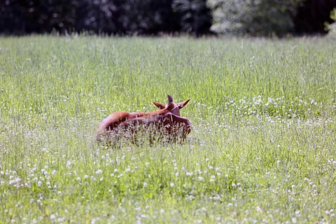 Miten teillä nukutaan?