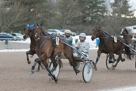 Sign Of Secret haastaa väkevästi maanantain Toto65-avauskohteessa Callela Lincolnin. Molemmat hevoset ovat kahdessa viime startissaan juosseet ykköstilalle. Arkistokuva: Roosa Lindholm