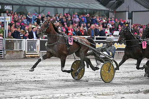 Evaluate voitti Nelivuotiseliitin kaksi vuotta sitten keväällä Solvallassa. Kuva: Jarno Unkuri.