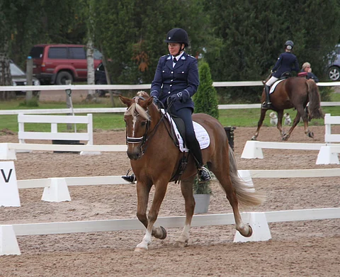 Haavis-Estelle palkittiin.