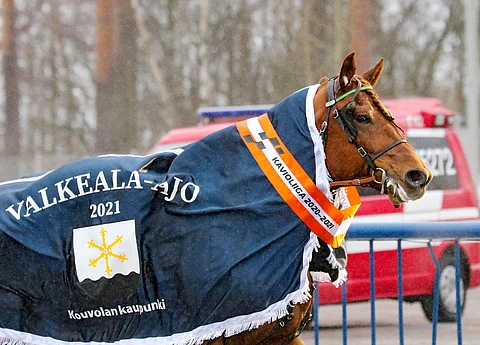 200 000 euron voittosumman komeasti puhkaissut Lissun Eerikki verhoutui Valkeala-ajon loimeen lauantaina Kouvolassa. Kuva: Anu Leppänen.