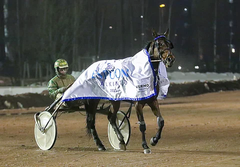 Jukka Torvisen ajama Peanuts karkasi kilpasiskoiltaan Espoon palkinnossa. Kuva: Anu Leppänen